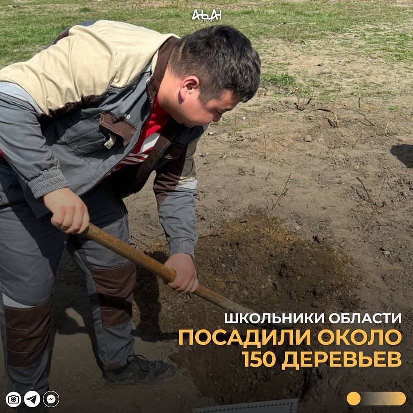 Облыс оқушылары 150ге жуық ағаш отырғызды